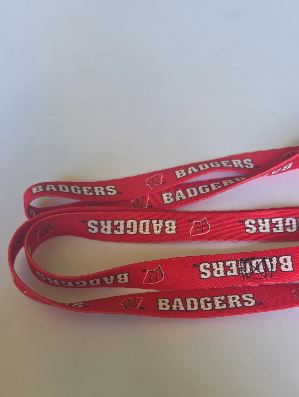 Wisconsin Badgers Dog Leash NCAA Heavy Duty Durable Nylon NWT Red Logo College